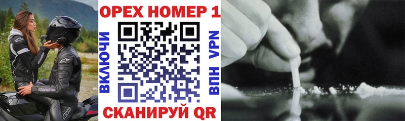 Кокаин Fish Scale  Купить закладки  Плёс 
