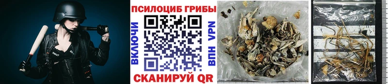 Псилоцибиновые грибы GOLDEN TEACHER Плёс